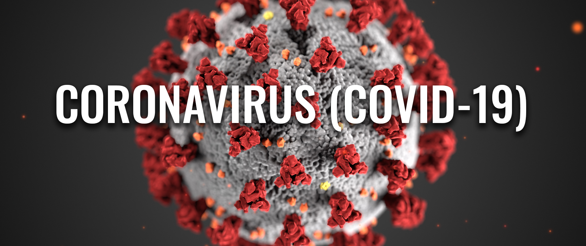 Partner: The Cole Group is Now Facilitating COVID-19 Antibody Testing